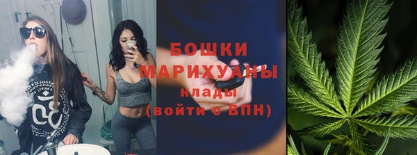 spice Гусиноозёрск