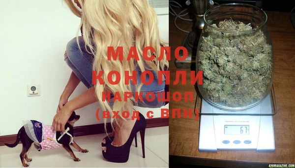 гидра Дмитров